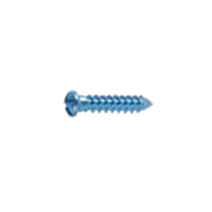 Mini Screw Double Slotted - 2.0mm Mini Screw Double Slotted - 11mm